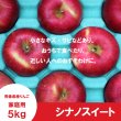 画像2: ※10月下旬発送※ シナノスイート　家庭用　５kg（約14-20個）≪送料込≫ (2)