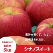 画像3: ※10月下旬発送※ シナノスイート　家庭用　５kg（約14-20個）≪送料込≫ (3)