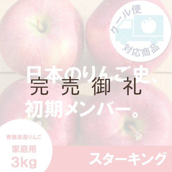 画像1: ※10月下旬発送※ スターキング　家庭用　３kg（約7-11個）≪送料込≫ (1)