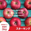 画像2: ※10月下旬発送※ スターキング　家庭用　３kg（約7-11個）≪送料込≫ (2)