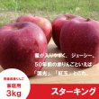 画像3: ※10月下旬発送※ スターキング　家庭用　３kg（約7-11個）≪送料込≫ (3)