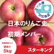 画像1: ※10月下旬発送※ スターキング 　訳あり　５kg（約20個前後）≪送料込≫ (1)