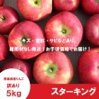 画像2: ※10月下旬発送※ スターキング 　訳あり　５kg（約20個前後）≪送料込≫ (2)