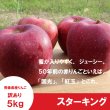 画像3: ※10月下旬発送※ スターキング 　訳あり　５kg（約20個前後）≪送料込≫ (3)