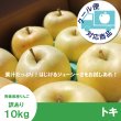 画像1: ※10月上旬発送※ トキ　訳あり　１０kg（約40個前後） ≪送料込≫ (1)