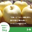 画像3: ※10月上旬発送※ トキ　訳あり　１０kg（約40個前後） ≪送料込≫ (3)