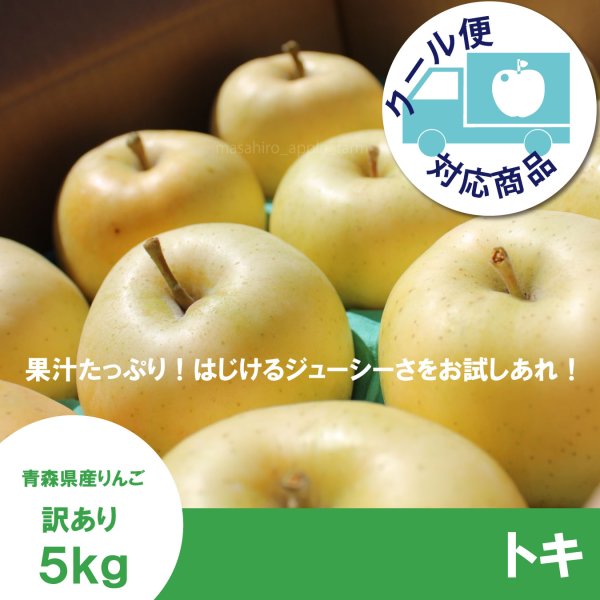 画像1: ※10月上旬発送※ トキ　訳あり　５kg（約20個程度） ≪送料込≫ (1)