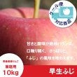 画像1: ※10月上旬発送※ 早生ふじ　家庭用　１０kg（約28-40個）≪送料込≫ (1)