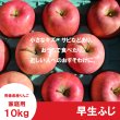 画像2: ※10月上旬発送※ 早生ふじ　家庭用　１０kg（約28-40個）≪送料込≫ (2)