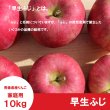 画像3: ※10月上旬発送※ 早生ふじ　家庭用　１０kg（約28-40個）≪送料込≫ (3)