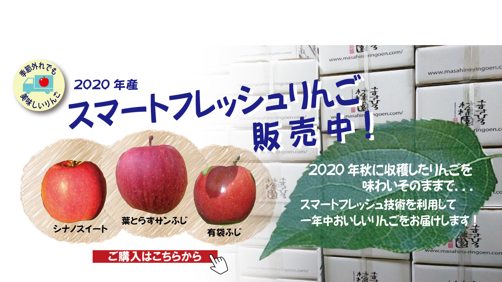 青森りんご通販 お取り寄せギフトは まさひろ林檎園 にお任せ