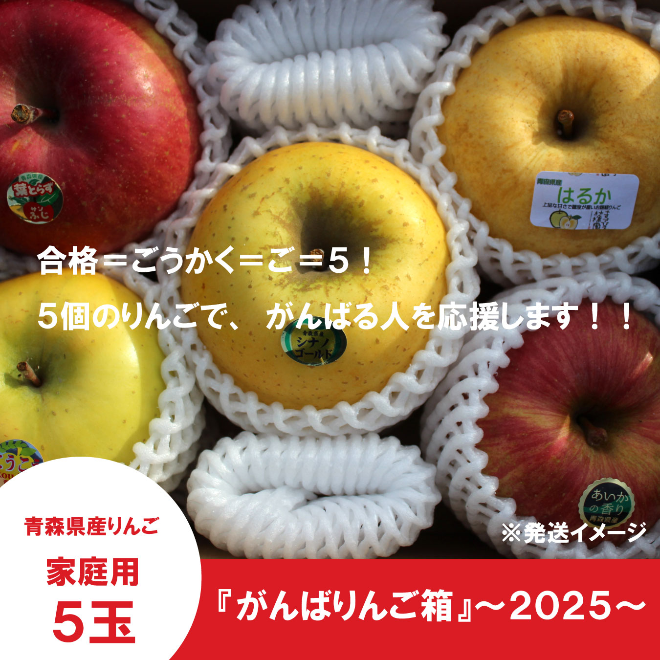 【ネット限定】春に向かって頑張るあなたへ『がんばりんご箱』〜2025〜≪送料込≫