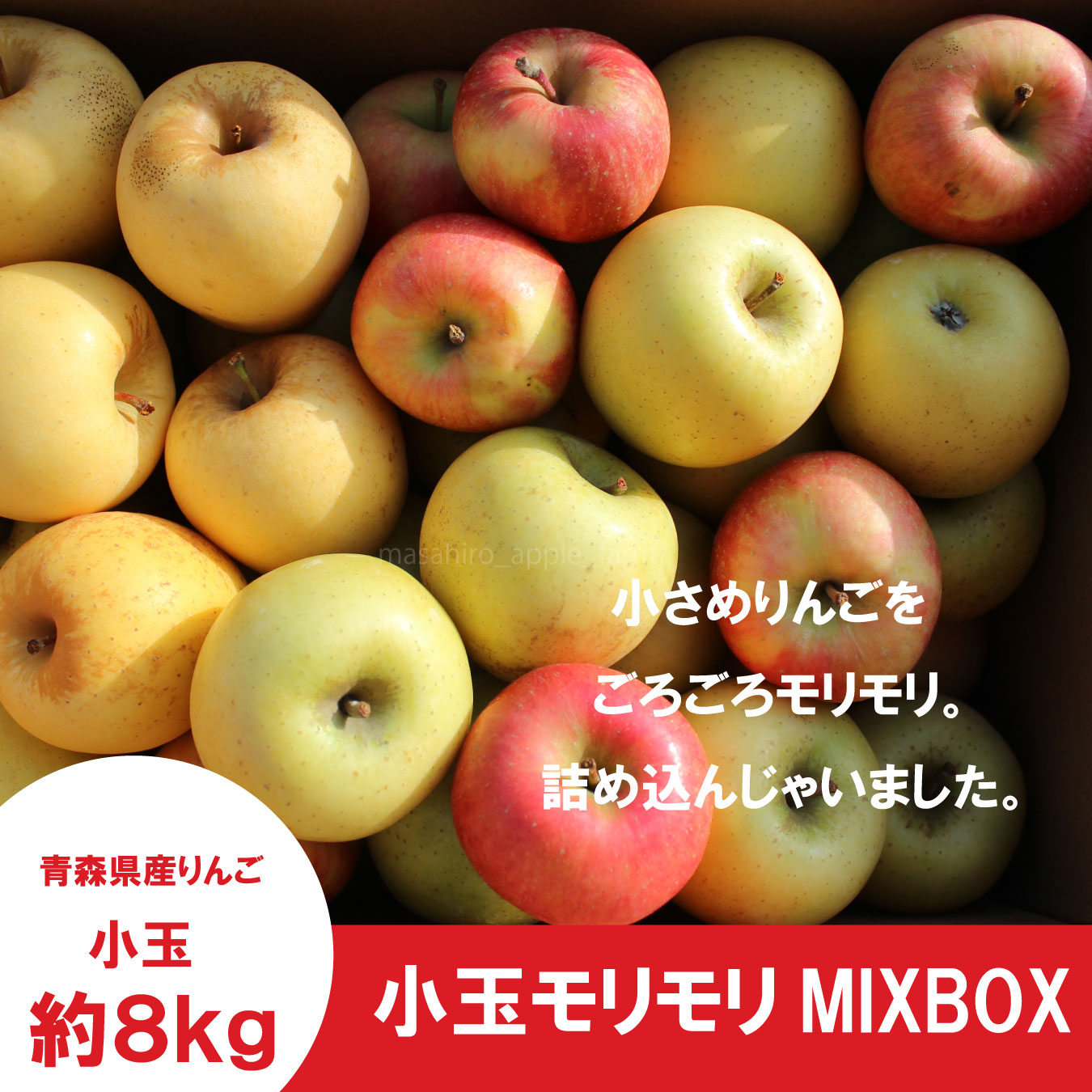 【詰合せ】小玉モリモリMIXBOX　約８kg ≪送料込≫