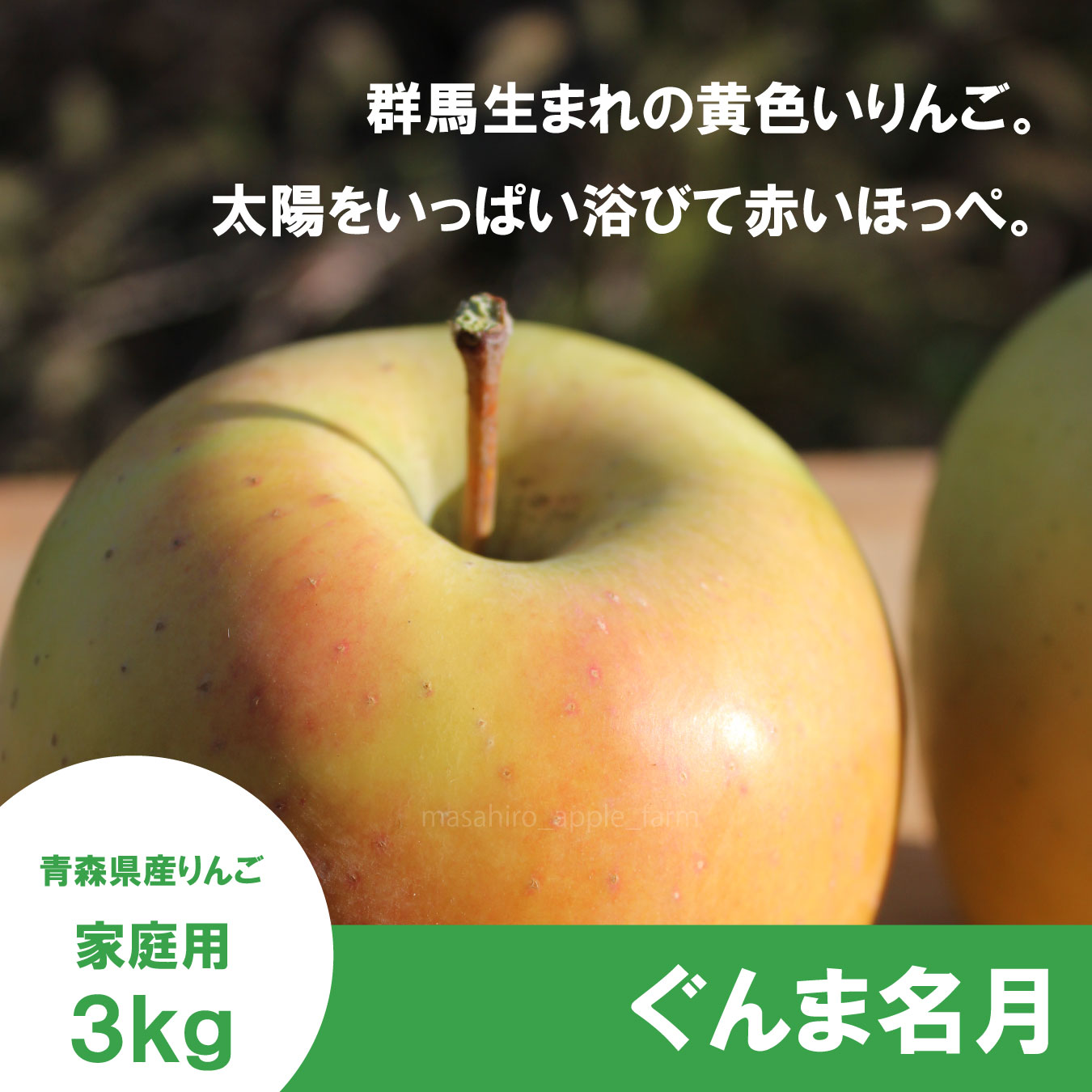 ※11月上旬発送※ ぐんま名月　家庭用　３kg（約8-11個）≪送料込≫