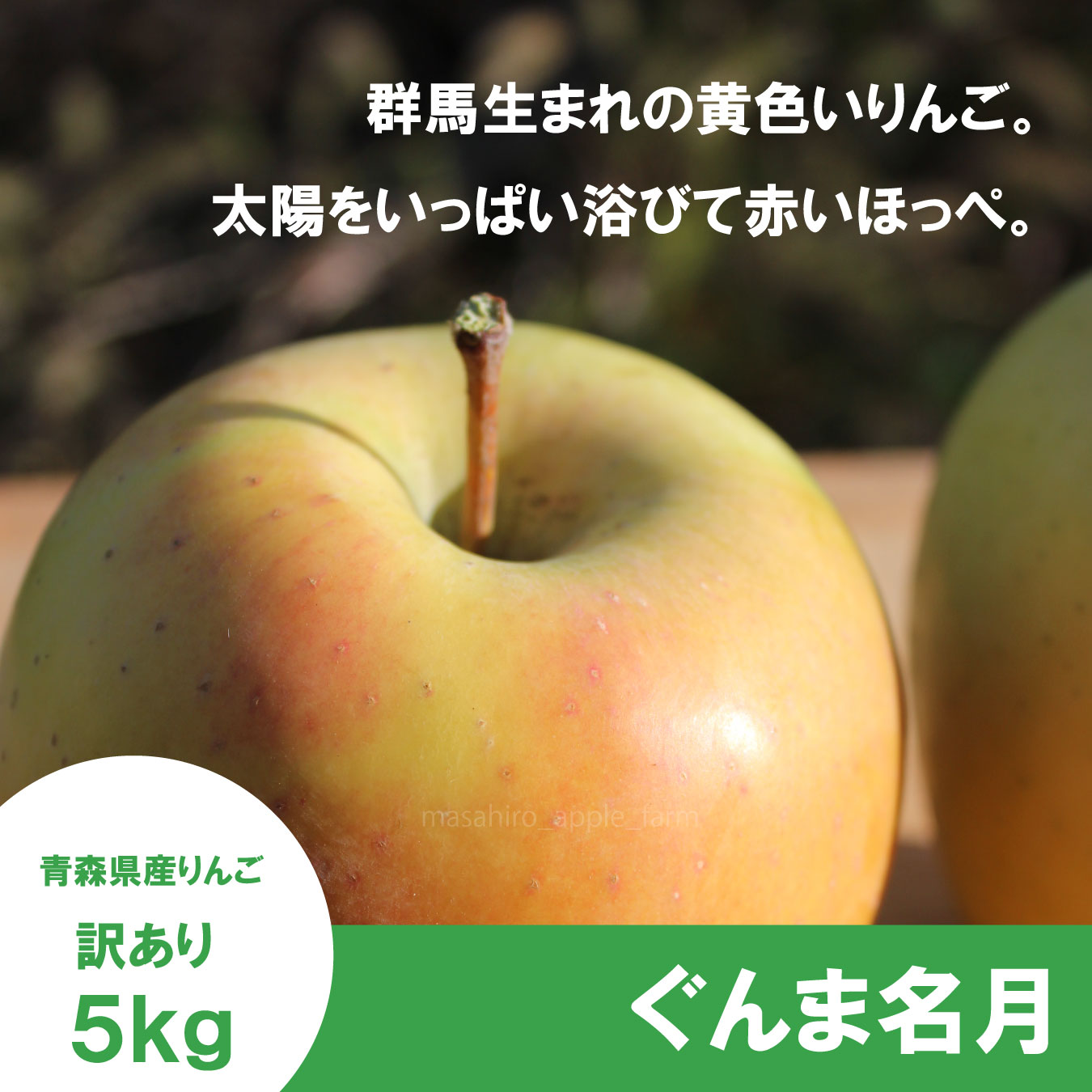 ※11月上旬発送※ ぐんま名月　訳あり　５kg（約20個程度）≪送料込≫