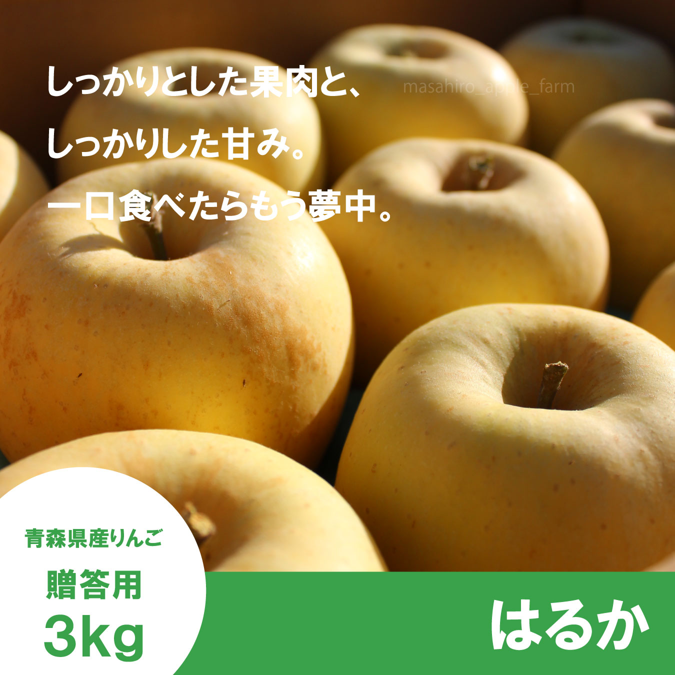 ※12月上旬発送※ はるか　贈答用　３kg ≪送料込≫