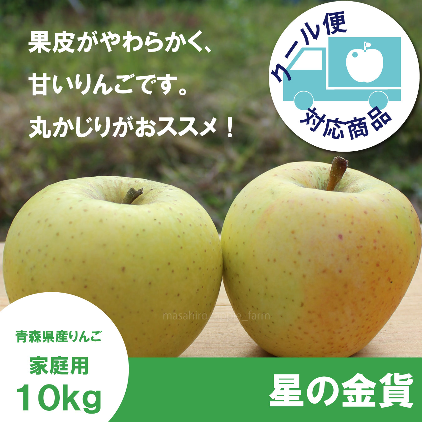 ※11月上旬発送※ 星の金貨　家庭用　１０kg（約28-40個）≪送料込≫