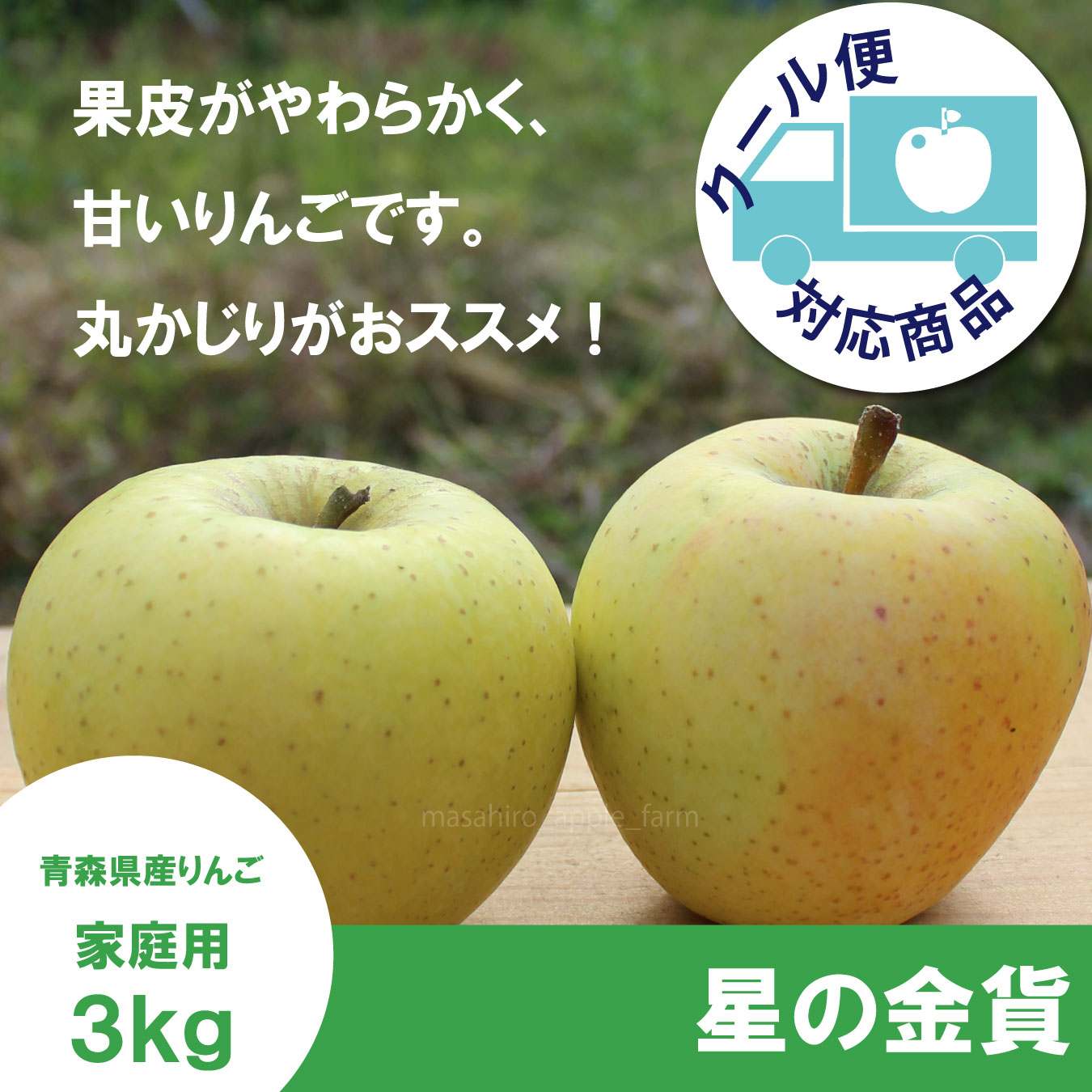 ※11月上旬発送※ 星の金貨　家庭用　３kg（約9-12個）≪送料込≫