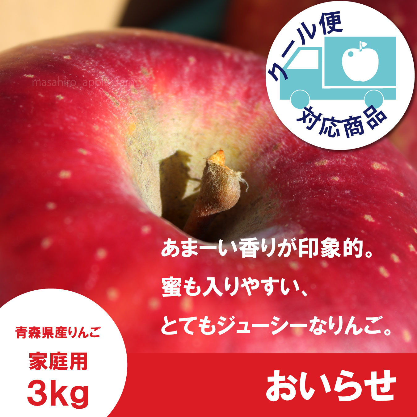 ※10月下旬発送※ おいらせ　家庭用　３kg（約6-7個）≪送料込≫