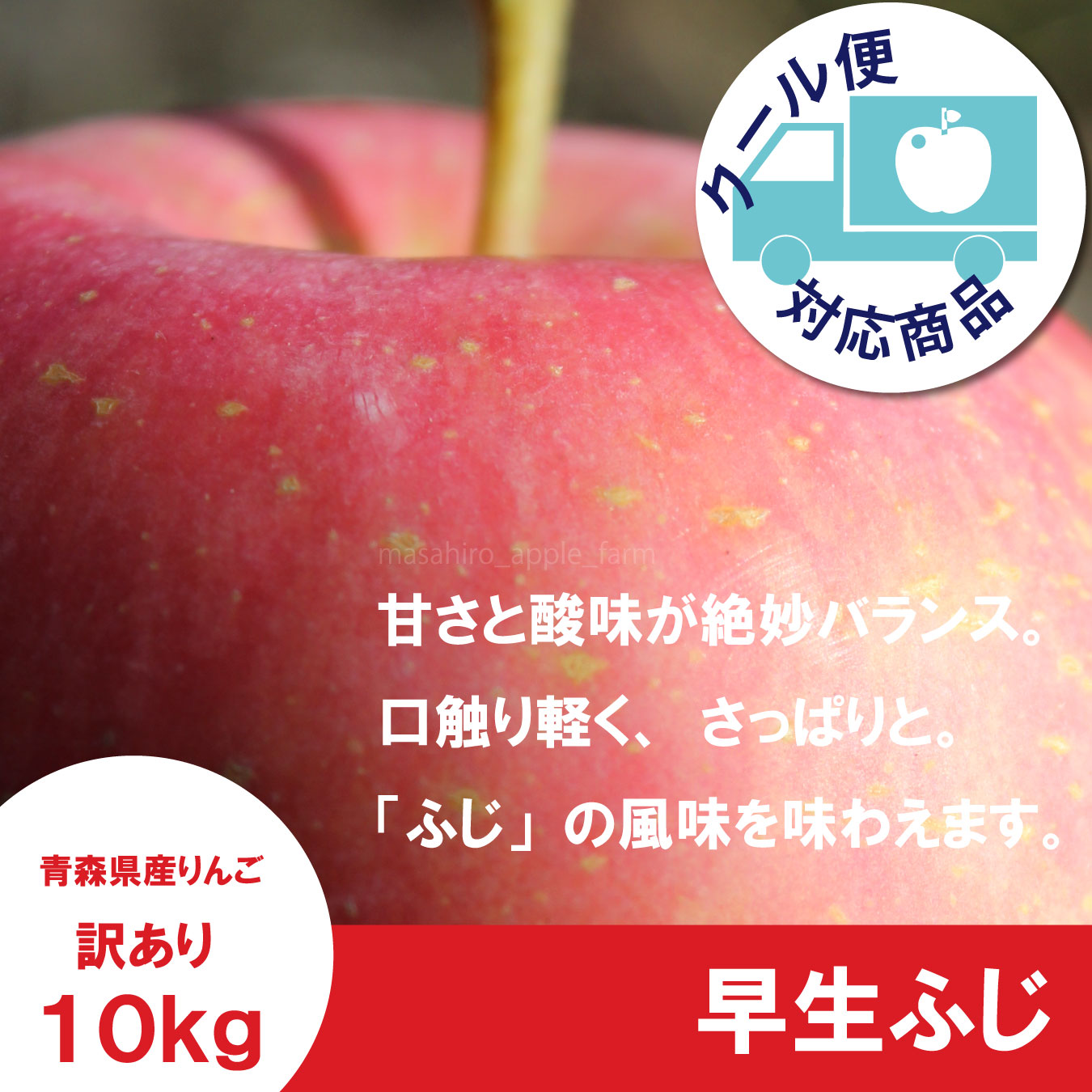 ※10月上旬発送※ 早生ふじ　訳あり　１０kg（約40個前後）≪送料込≫